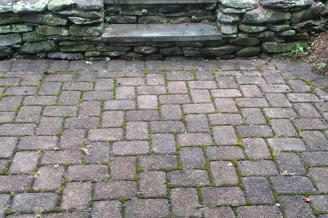 Paver-Cleaning-BEFORE-ic-webp